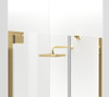 Elegant Kitchen and Bath SD404-6072BGD Semi-frameless hinged shower door 60 x 72 Brushed Gold