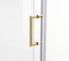 Elegant Kitchen and Bath SD404-6072BGD Semi-frameless hinged shower door 60 x 72 Brushed Gold