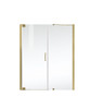 Elegant Kitchen and Bath SD404-6072BGD Semi-frameless hinged shower door 60 x 72 Brushed Gold