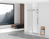 Elegant Kitchen and Bath SD101-4876PCH Frameless shower door 48 x 76 Polished Chrome