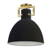 DAINOLITE LBY-151SF-MB-AGB 1 Light Incandescent Liberty Semi-Flush Mount Matte Black w/ a Matte Black Shade