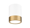 Z-LITE 1006F6-MW-MGLD-LED 1 Light Flush Mount, Matte White + Modern Gold