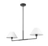 Z-LITE 744-42L-MB 2 Light Chandelier, Matte Black