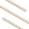 SPTLX-UWW-13