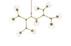 ELEGANT LIGHTING 1712G60BR Cavoli 60 inch Chandelier in Brass