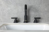 ELEGANT KITCHEN AND BATH FAV-1009MBK Leah 8 inch Widespread Double Handle Bathroom Faucet in Matte Black