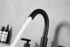 ELEGANT KITCHEN AND BATH FAV-1009MBK Leah 8 inch Widespread Double Handle Bathroom Faucet in Matte Black