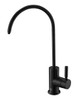 ELEGANT KITCHEN AND BATH FAK-303MBK Rian Single Handle Cold Water Dispenser in Matte Black