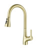 ELEGANT KITCHEN AND BATH FAK-305BGD Andrea Single Handle Pull Down Sprayer Kitchen Faucet in Brushed Gold