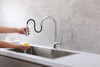 ELEGANT KITCHEN AND BATH FAK-305PCH Andrea Single Handle Pull Down Sprayer Kitchen Faucet in Chrome