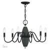 LIVEX LIGHTING 60002-04 6 Light Black Chandelier