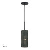 LIVEX LIGHTING 60111-04 1 Light Black Mini Pendant