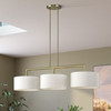 LIVEX LIGHTING 45493-01 3 Light Antique Brass Extra Large Linear Chandelier