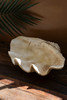 KALALOU CVY1473 GIANT RESIN CLAM SHELL