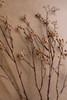 KALALOU CHAL1051 ARTIFICIAL BUDDING BRANCH STEM