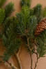 KALALOU CYF1523 ARTIFICIAL FIR SPRAY WITH PINE CONES