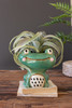 KALALOU CDV2298 CERAMIC FROG PLANTER