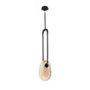 AVENUE LIGHTING HF7122-BK-SMK Palmea 13.5"H Oval Smoked Glass LED Pendant in Matte Black