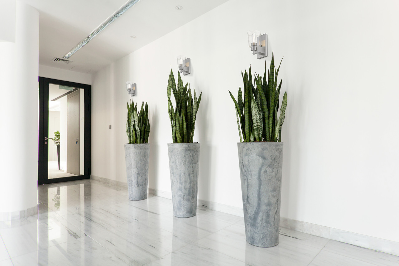 Z-LITE 464-1S-BN 1 Light Wall Sconce, Brushed Nickel