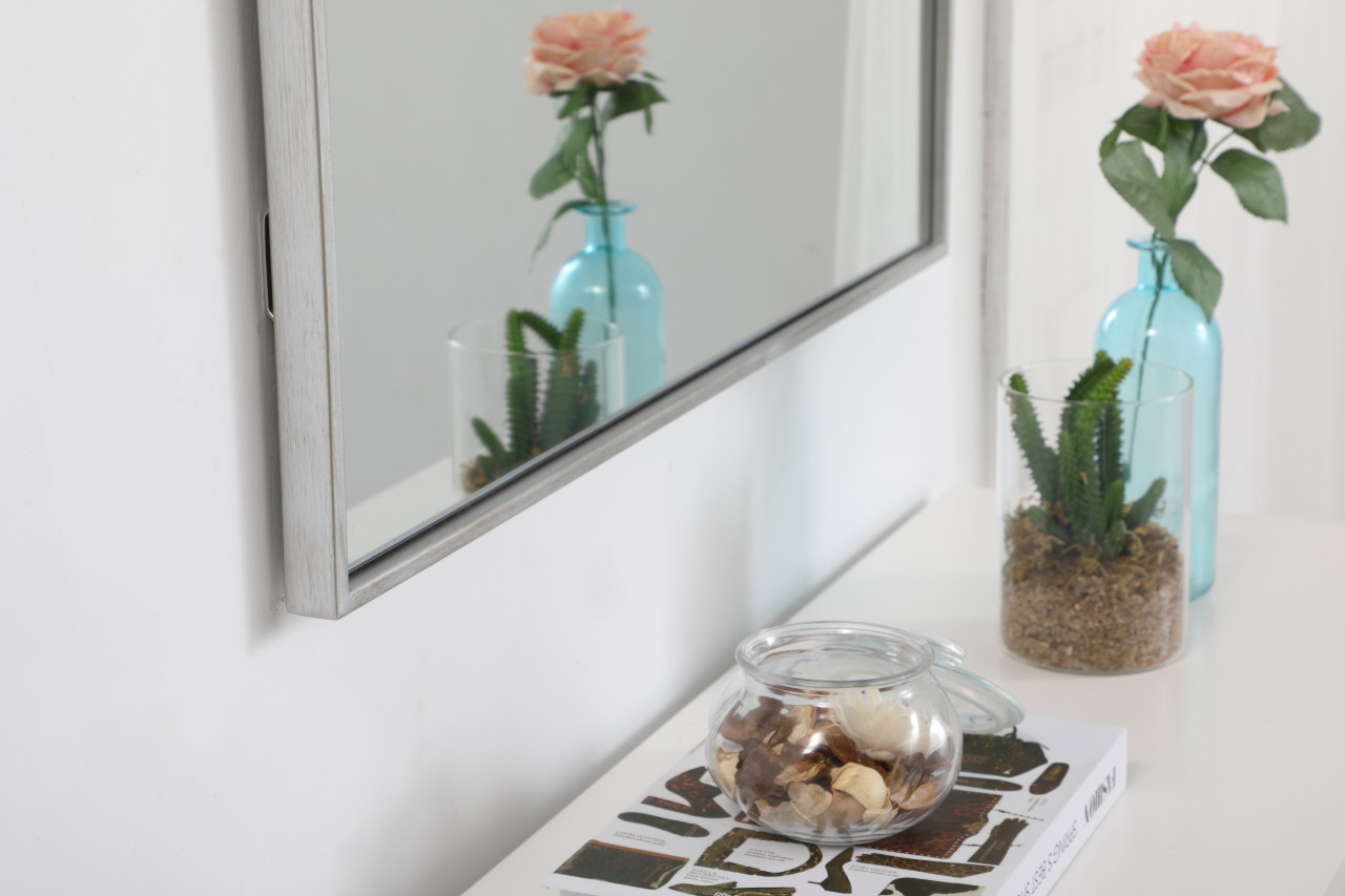 Elegant Decor MR43040S Eternity Metal frame rectangle mirror 30 inch in Sliver