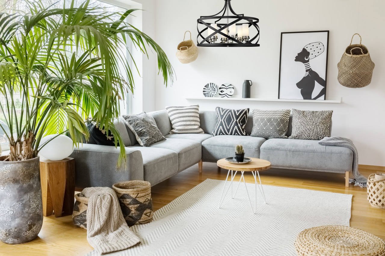 Z-LITE 481P24-MB-BN 6 Light Pendant,Matte Black + Brushed Nickel