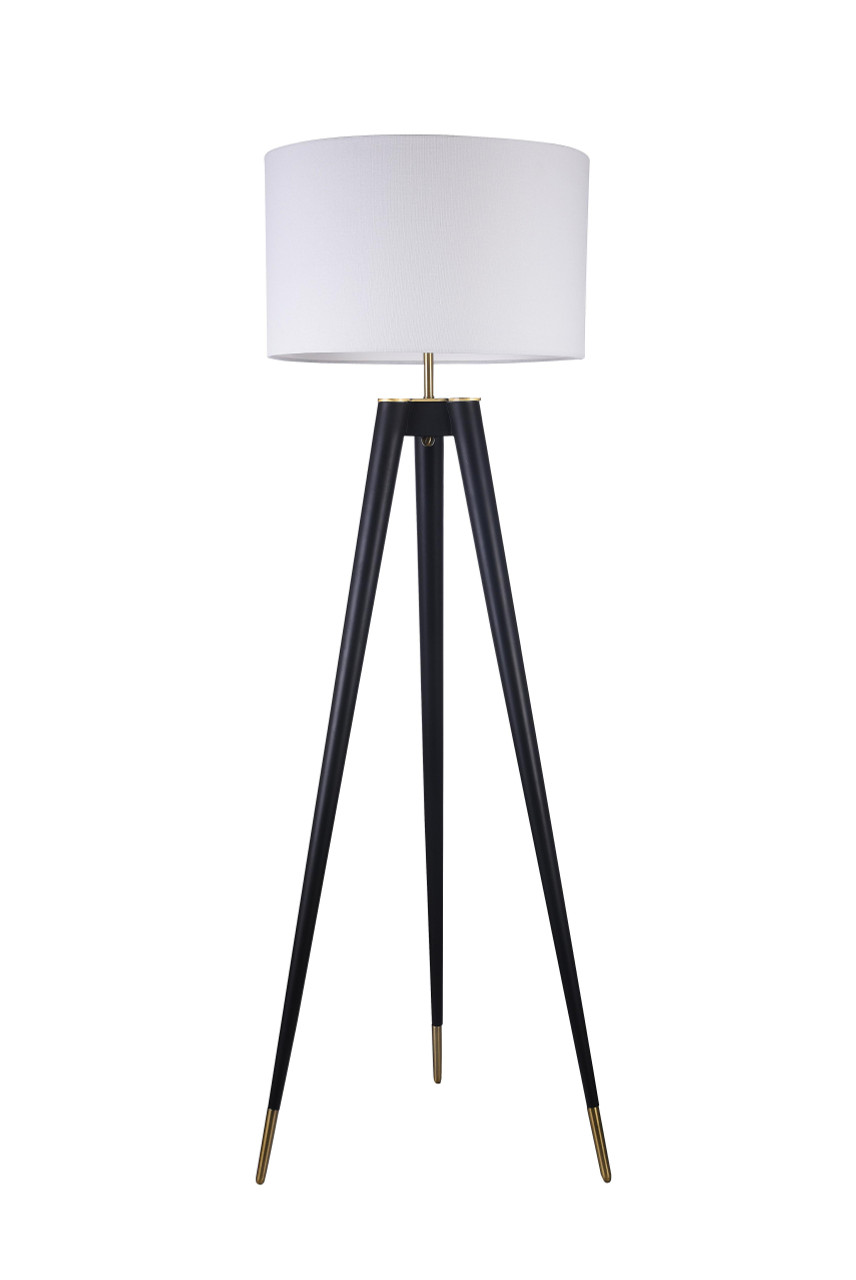 BETHEL INTERNATIONAL MFL17X-GD 1-Light Floor Lamp,Black & Brass