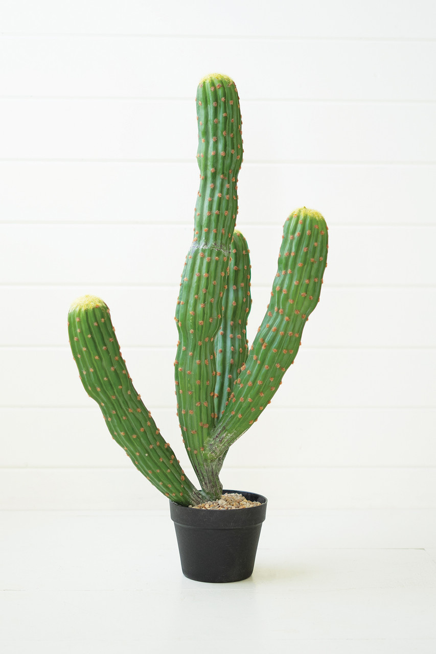 KALALOU CNL1321 ARTIFICIAL MULTI TRUNK CACTUS IN A PLASTIC POT