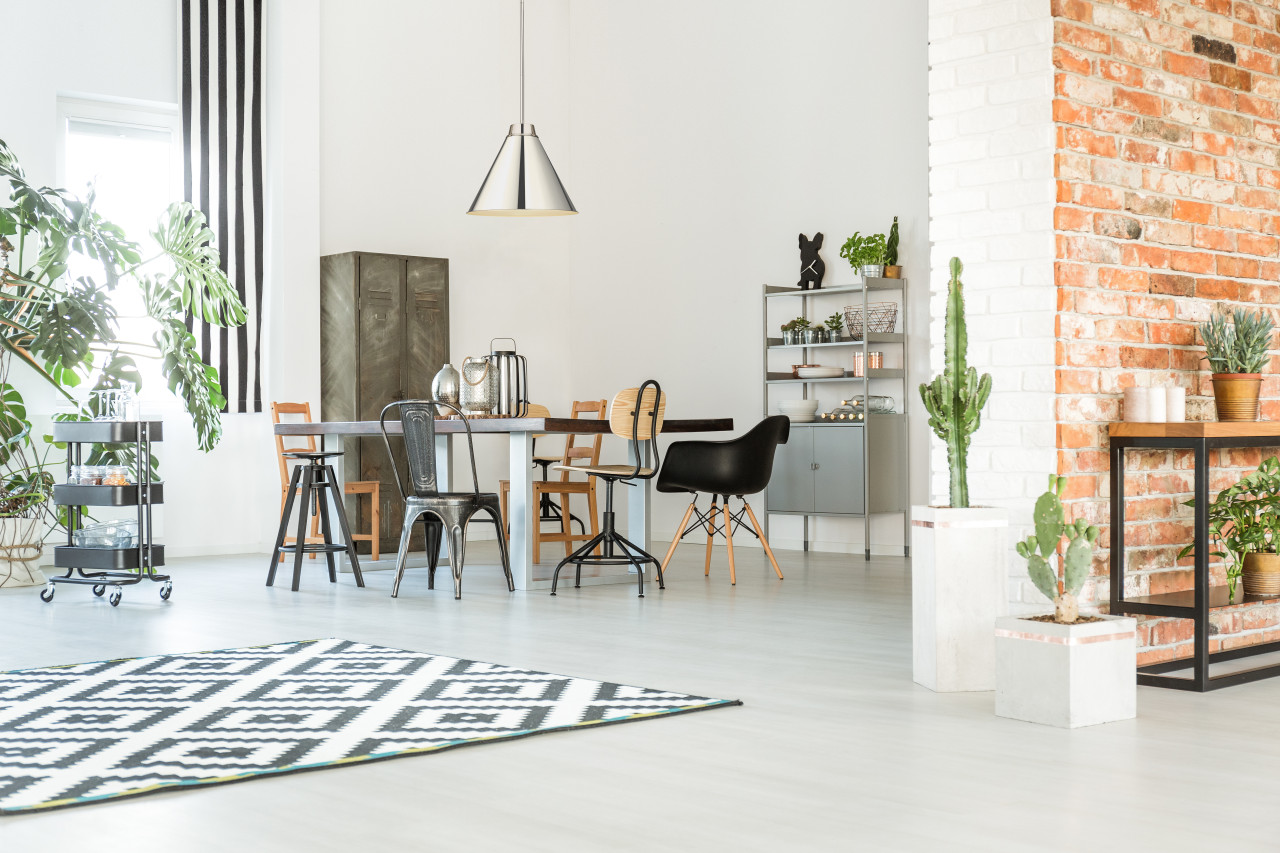 Z-LITE 6011P18-PN 1 Light Pendant,Polished Nickel