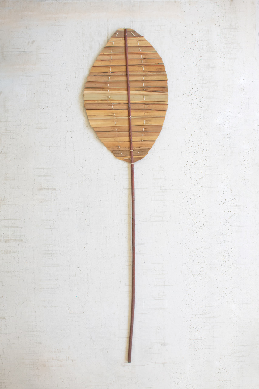 KALALOU NSBE1004 TEAR DROP NATURAL HOGLA LEAF WITH STEM