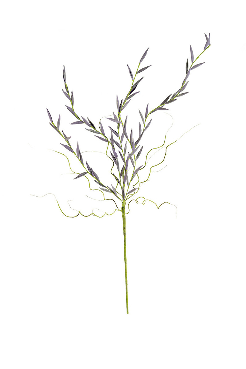 KALALOU CSL2505 BOTANICA #2505