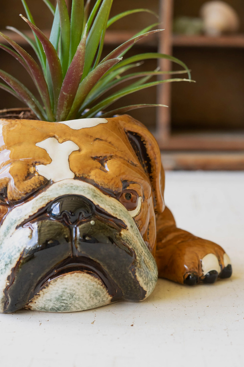 KALALOU CDV2139 CERAMIC BULLDOG PLANTER