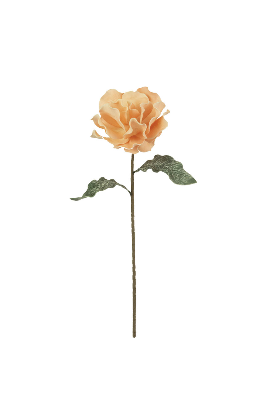 KALALOU CSL2661 Botanica #2661