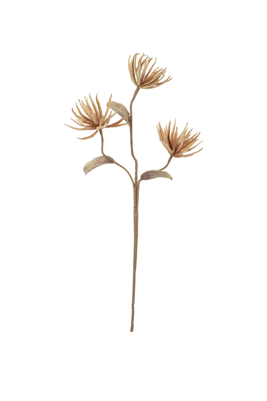 KALALOU CSL2664 Botanica #2664