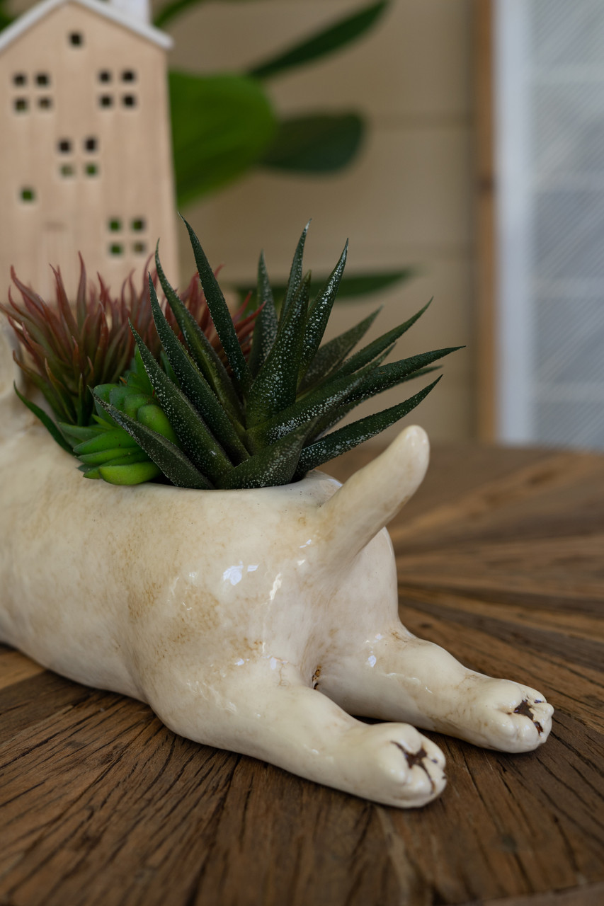 KALALOU CDV2264 CERAMIC BULL TERRIER PLANTER