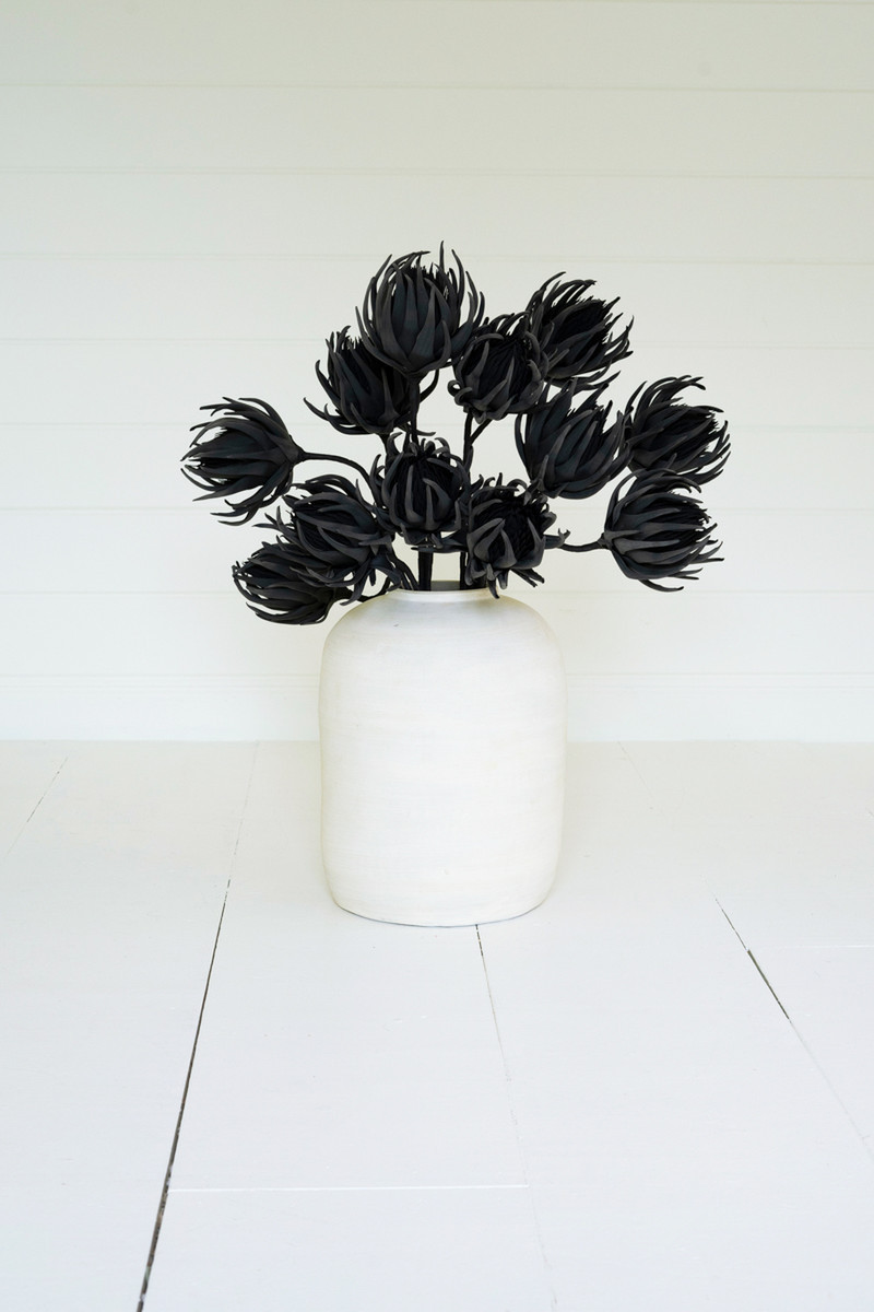 KALALOU CSL2697 BOTANICA #2697