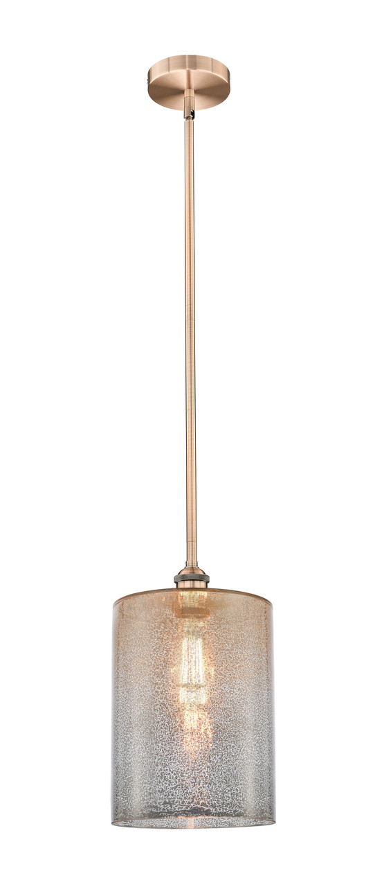 616-1S-AC-G116-L-LED