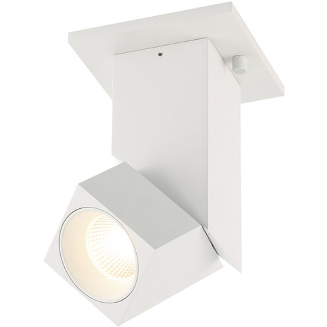 ACCESS LIGHTING 50011LEDD-WH/CLR-120V Adjustable LED Spotlight