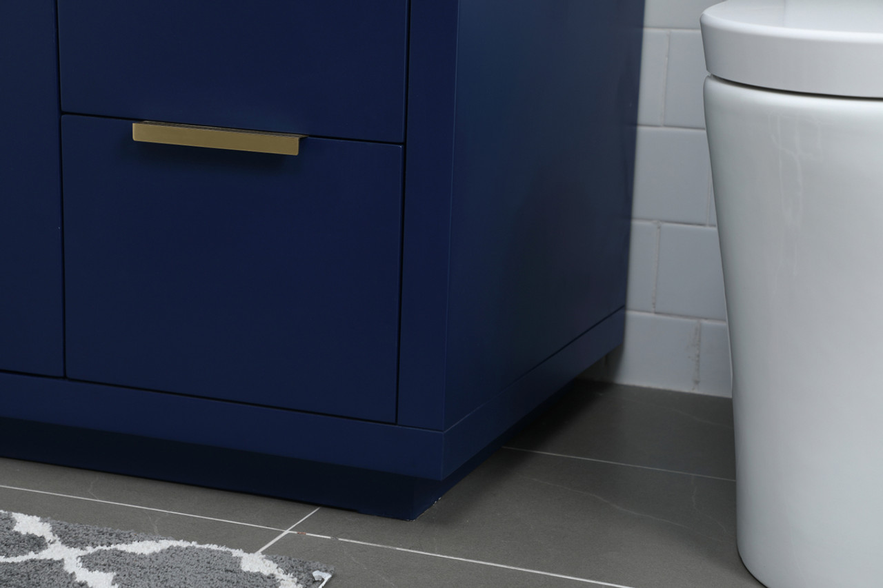 ELEGANT KITCHEN AND BATH VF19454BL 54 Inch SIngle Bathroom Vanity In Blue