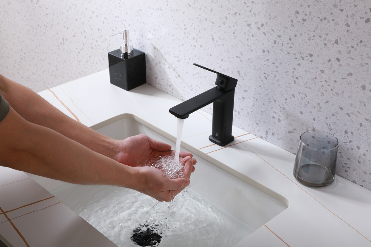 ELEGANT KITCHEN AND BATH FAV-1004MBK Lena Single Hole Single Handle Bathroom Faucet in Matte Black