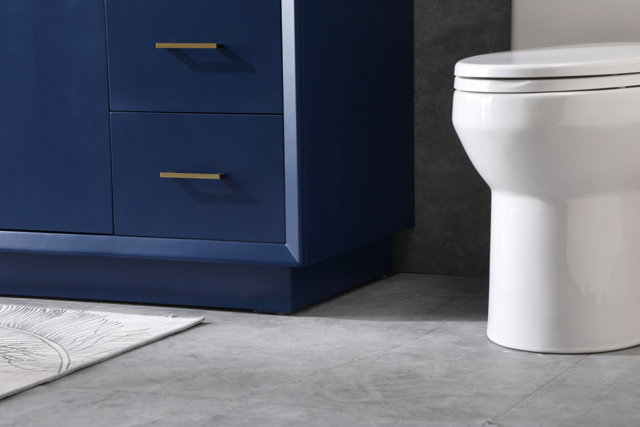 ELEGANT KITCHEN AND BATH VF19660BL 60 Inch SIngle Bathroom Vanity In Blue
