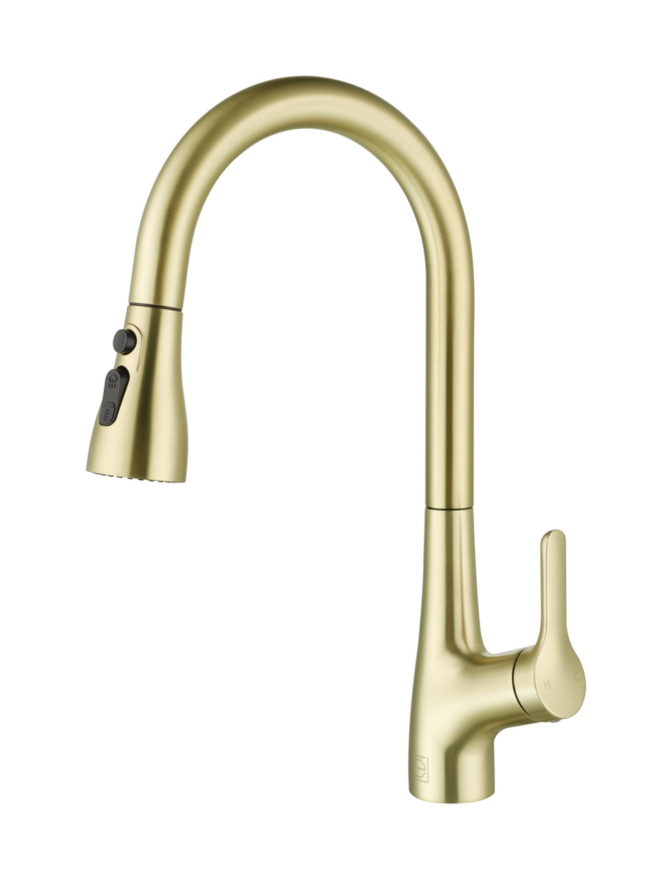 ELEGANT KITCHEN AND BATH FAK-305BGD Andrea Single Handle Pull Down Sprayer Kitchen Faucet in Brushed Gold