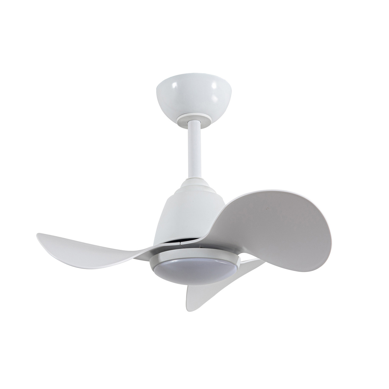 Warehouse of Tiffany's DW10W07WH Cian 24 in. 1-Light Indoor White Finish Ceiling Fan with Light Kit