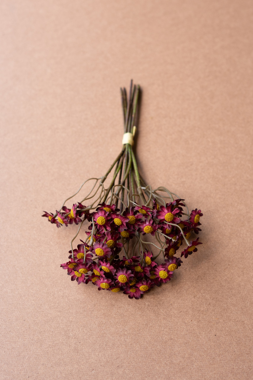 KALALOU CHAL1064 CHAMOMILE BUNDLE (6 STEMS) - BURGANDY