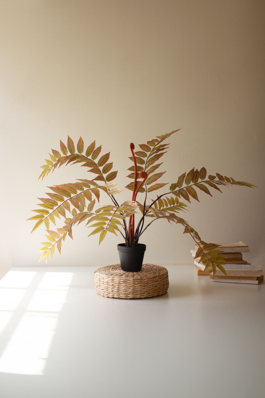 KALALOU CYF1512 ARTIFICIAL YELLOW FERN IN A BLACK POT