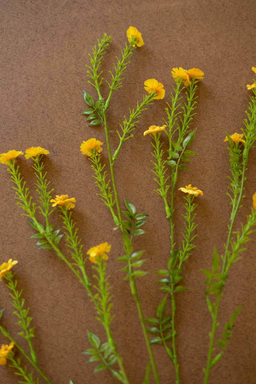 KALALOU CHAL1027 ARTIFICIAL DAISY SPRAY - YELLOW