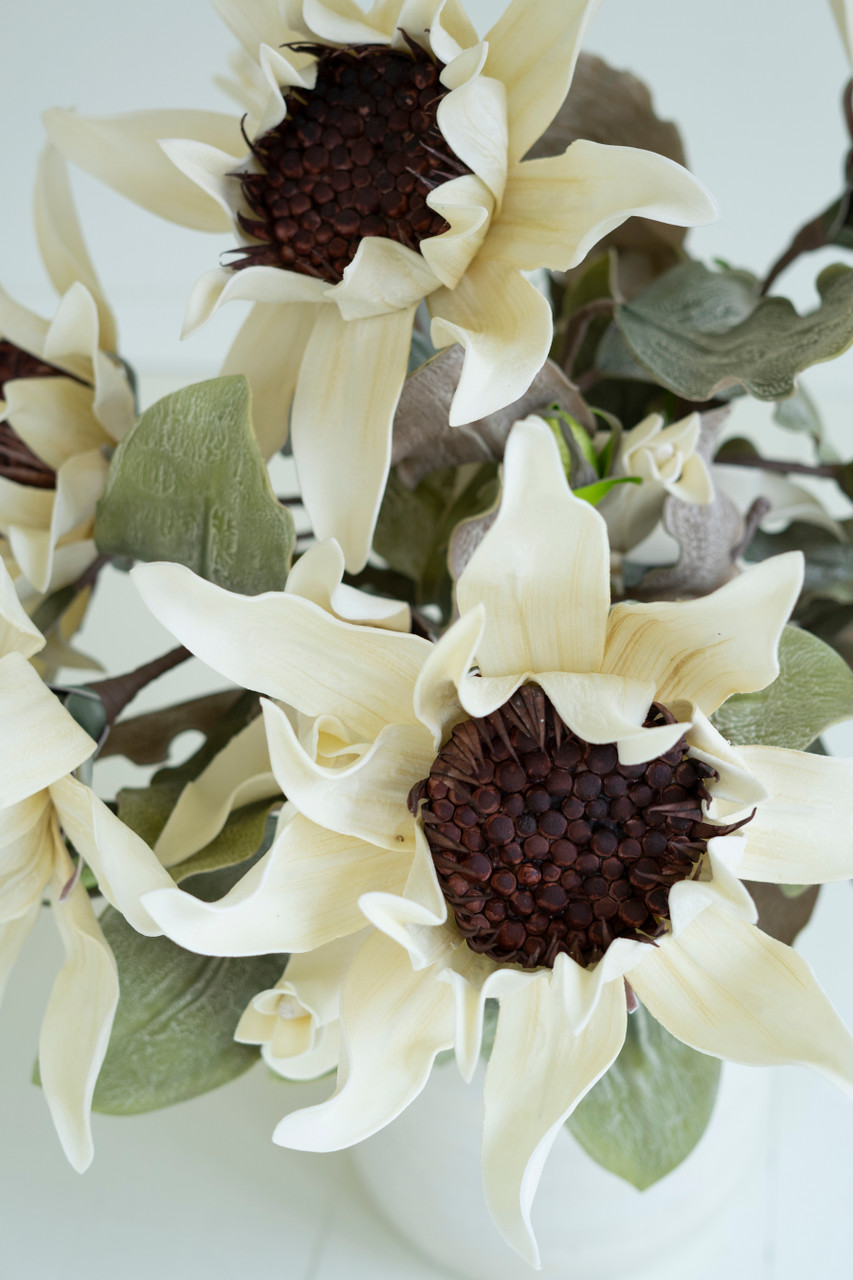 KALALOU CSL2797 BOTANICA #2797