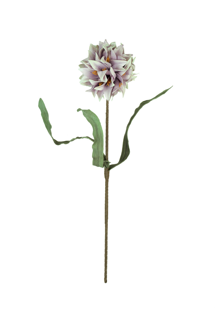 KALALOU CSL2794 BOTANICA #2794