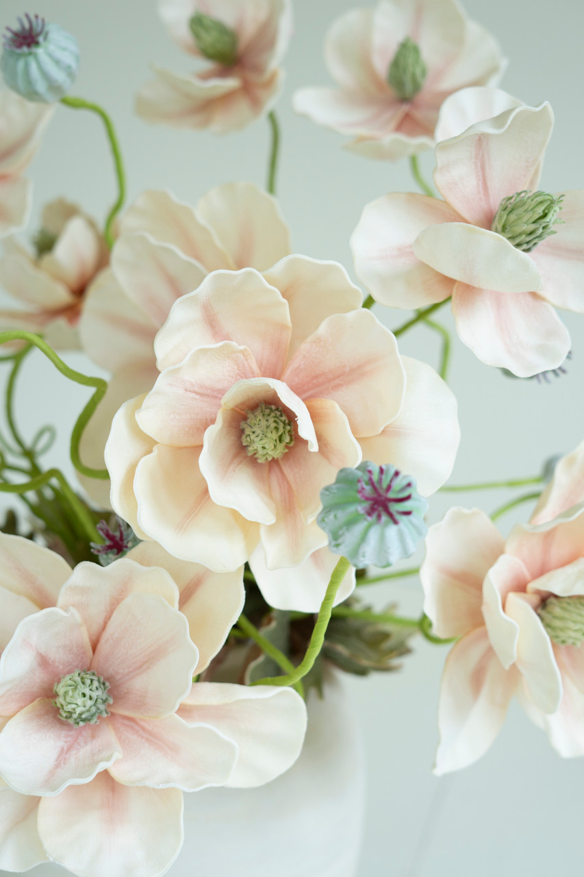 KALALOU CSL2798 BOTANICA #2798