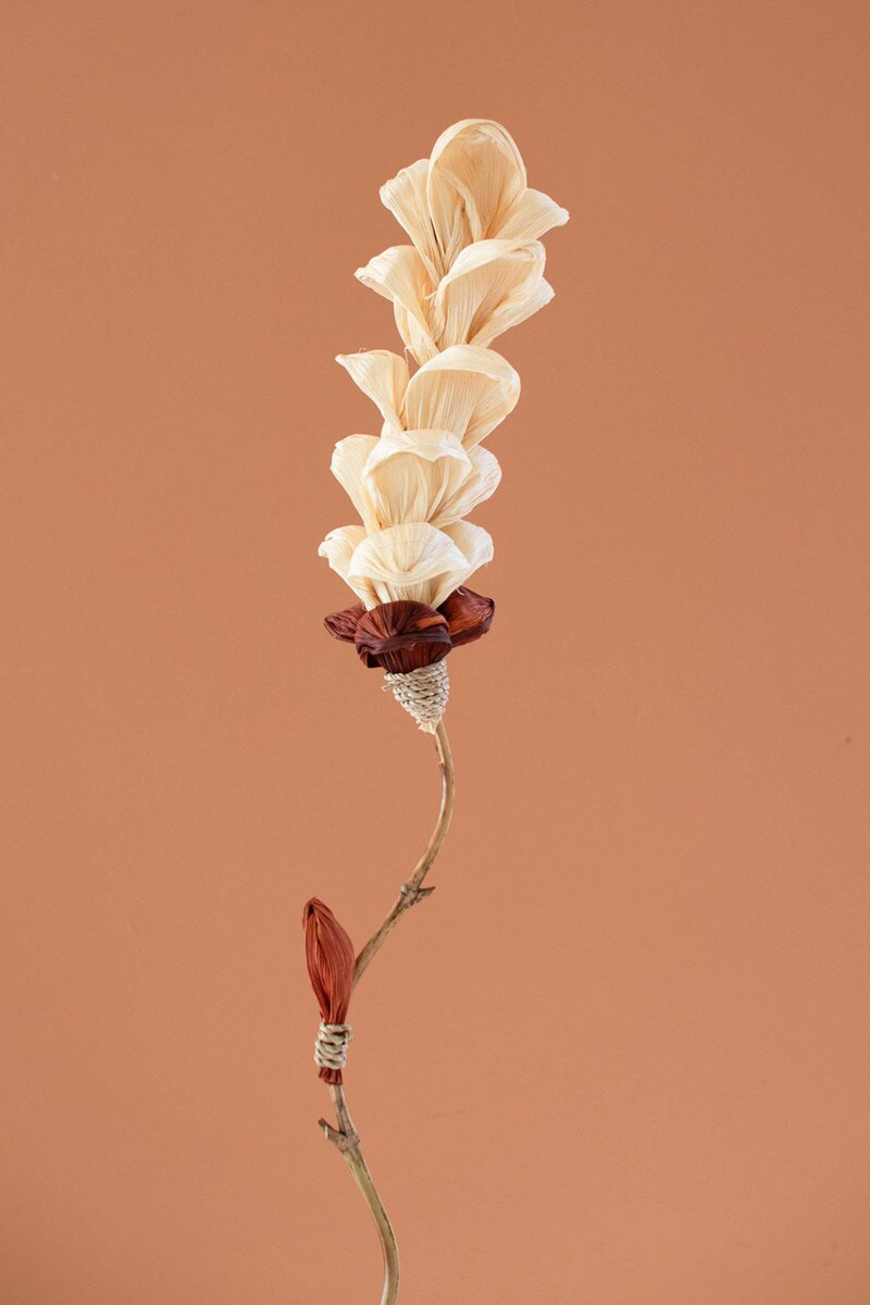 KALALOU DEX1007 SET OF TWELVE DRIED FLOWERS ON A BAMBOO STEM #8