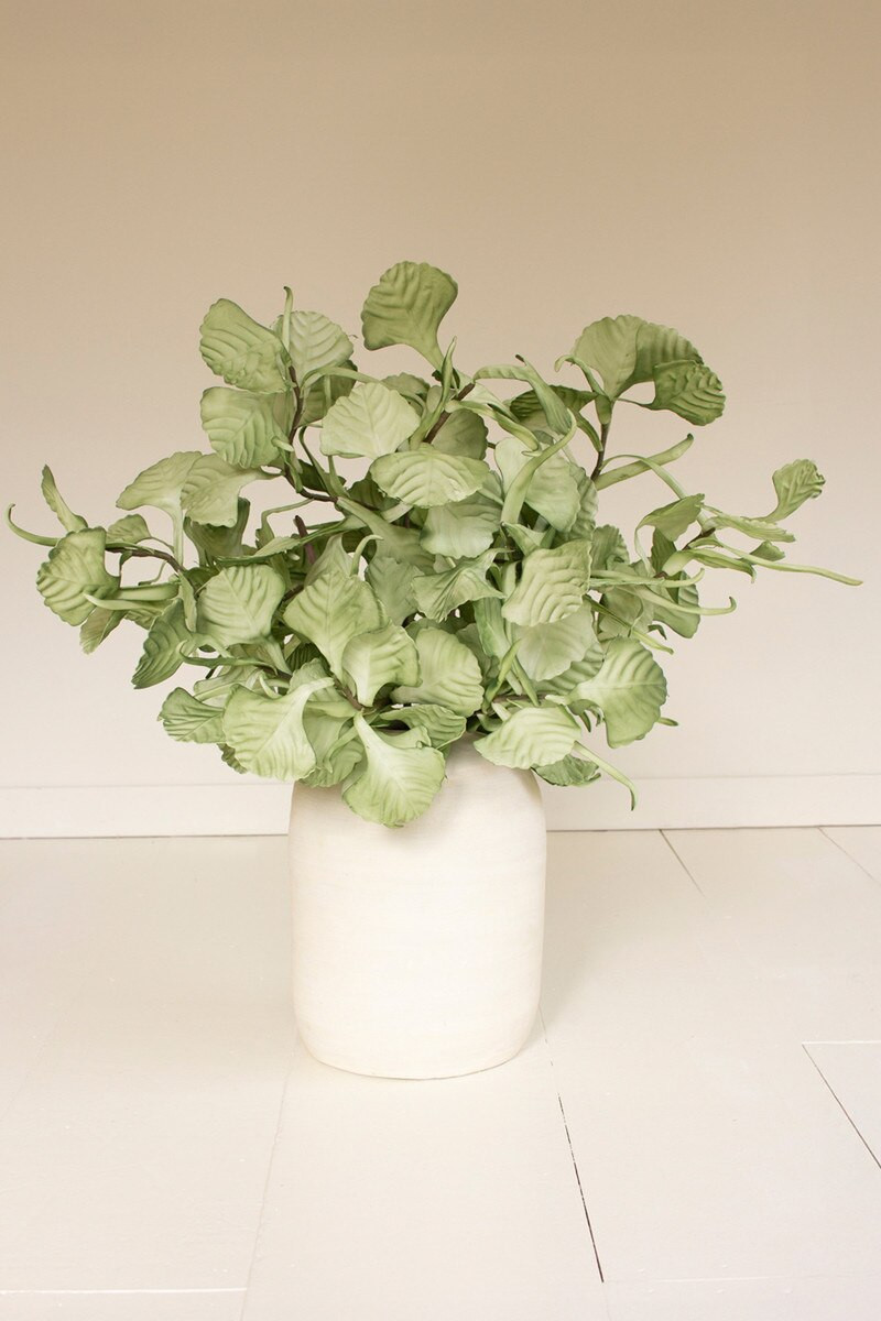 KALALOU CLX3593 BOTANICA #3593